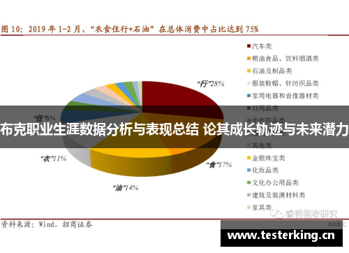 布克职业生涯数据分析与表现总结 论其成长轨迹与未来潜力