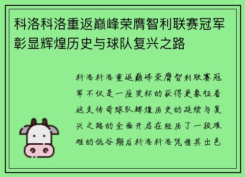 科洛科洛重返巅峰荣膺智利联赛冠军彰显辉煌历史与球队复兴之路